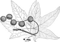 PLF223C.TIF