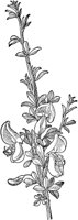 PLF222B.TIF