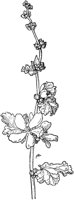 PLF222A.TIF