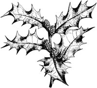 PLF220B.TIF