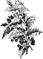 PLF220A.TIF