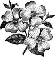 PLF217D.TIF