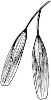 PLF213D.TIF