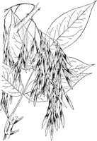 PLF213B.TIF