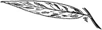 PLF208C.TIF