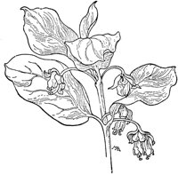 PLF199B.TIF