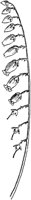 PLF196H.TIF