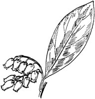 PLF196D.TIF