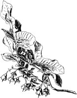 PLF195J.TIF