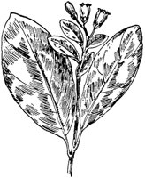 PLF195A.TIF