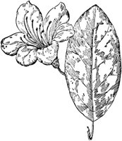 PLF194J.TIF