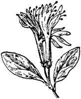 PLF194I.TIF