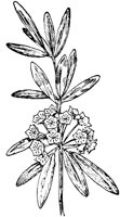 PLF194G.TIF