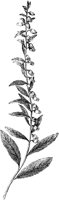 PLF194E.TIF