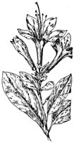 PLF194D.TIF