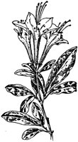 PLF194C.TIF