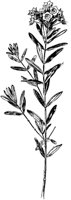 PLF194B.TIF