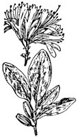PLF194A.TIF