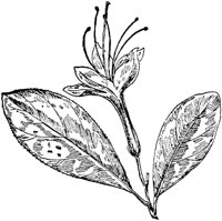 PLF193F.TIF
