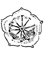 PLF193E.TIF
