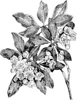 PLF193D.TIF