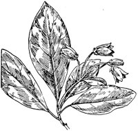 PLF192G.TIF