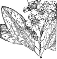 PLF192F.TIF
