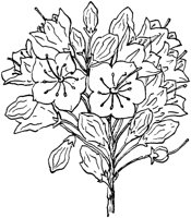 PLF192E.TIF