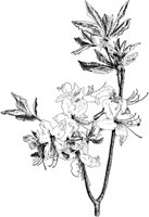 PLF192D.TIF