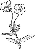 PLF192C.TIF