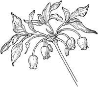PLF192B.TIF