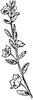 PLF192A.TIF