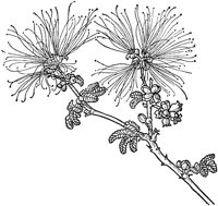 PLF190E.TIF
