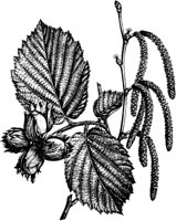PLF190A.TIF