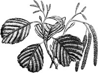 PLF189E.TIF