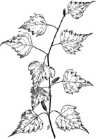 PLF188G.TIF