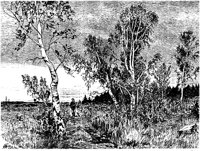 PLF187D.TIF