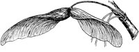 PLF184F.TIF