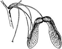 PLF184B.TIF