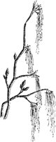 PLF183F.TIF