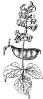 PLF278F.TIF
