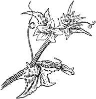 PLF278A.TIF