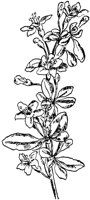 PLF277B.TIF