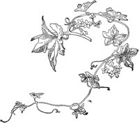 PLF276H.TIF