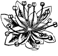 PLF276F.TIF