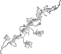 PLF276E.TIF