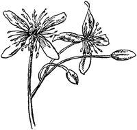 PLF276D.TIF