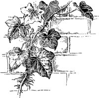 PLF275A.TIF