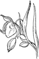 PLF274D.TIF