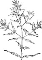PLF273E.TIF